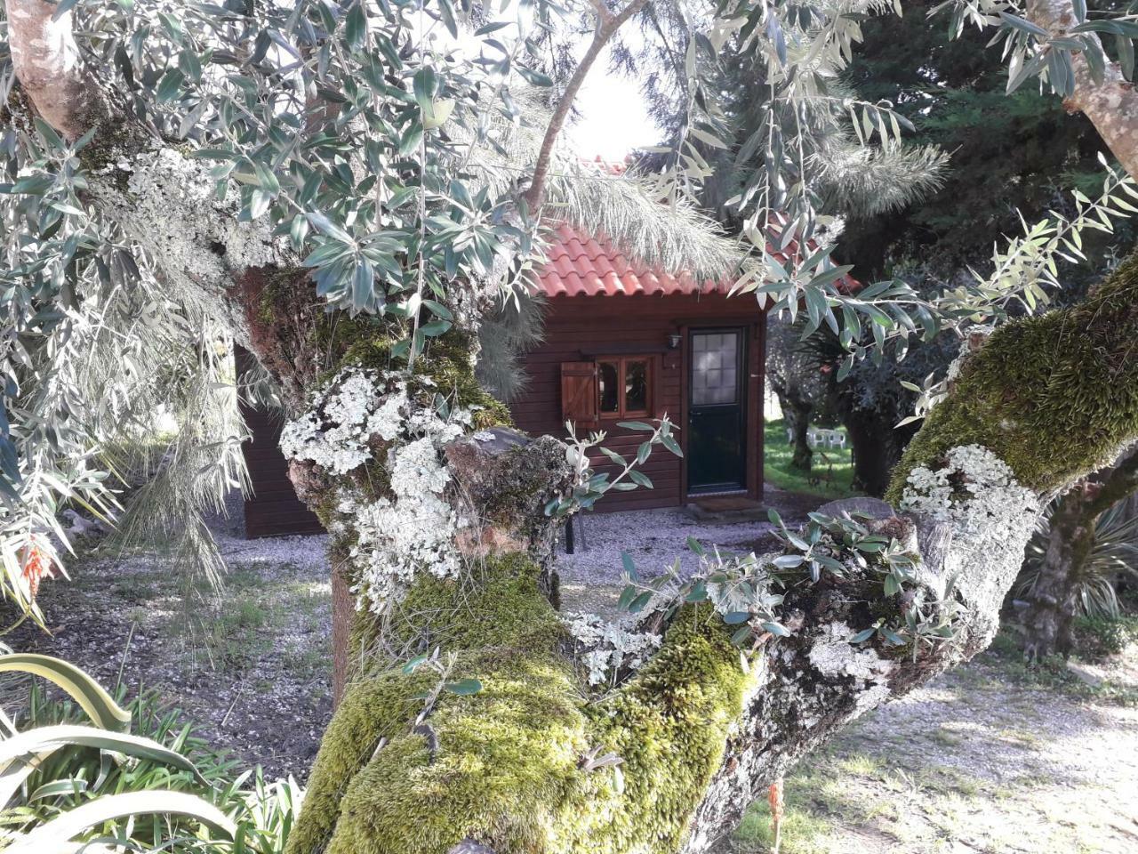 雷东多小屋酒店 Junceira 外观 照片